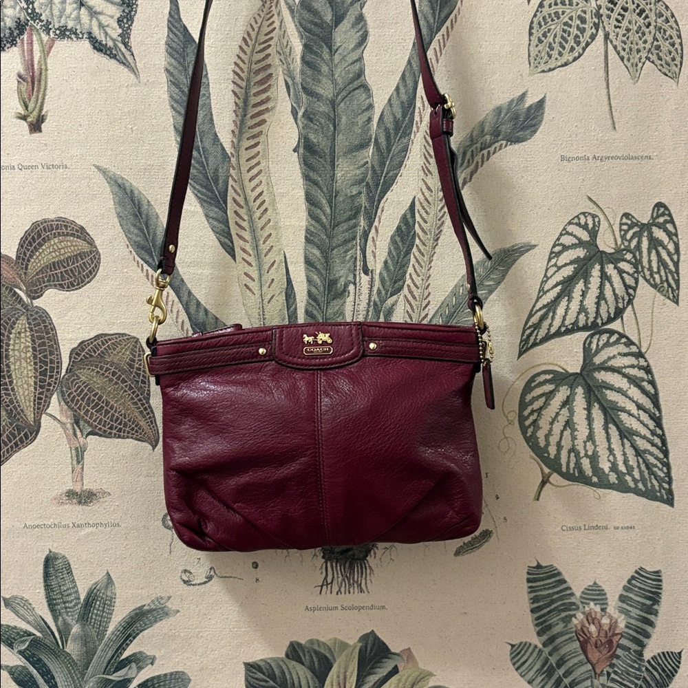 Coach Madison Leather Crossbody